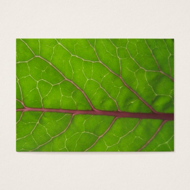 Feuille Kohlrabi ~ ATC (Devant)