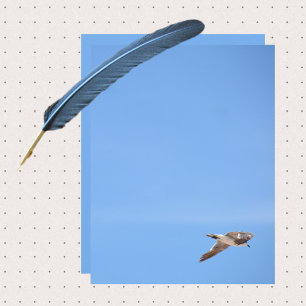 Feuille papier Seagull in Flight Sky Blue