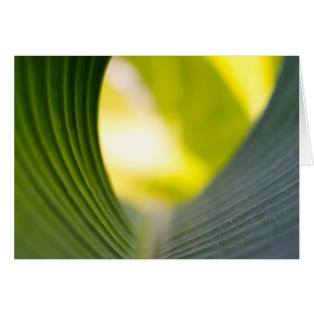 Feuille verte (Devant horizontal)