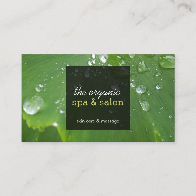 Feuille verte avec Carte de visite Spa Raindrops (Devant)