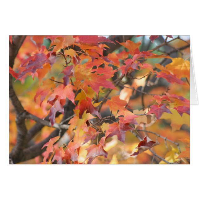 Feuilles d'automne 3 (Devant Horizontal)