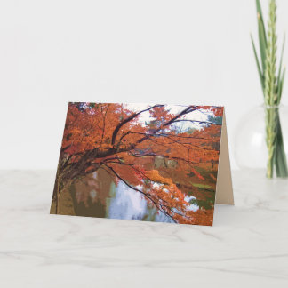 Feuilles d'automne à Nara Japon sur une carte blan