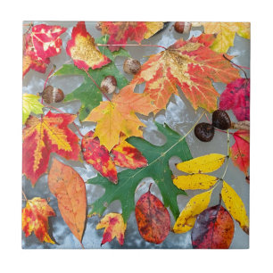 Feuilles d'automne Carreaux en céramique