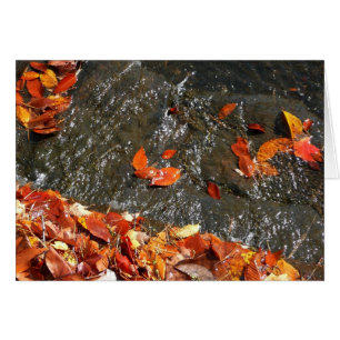 Feuilles d'automne dans la cascade I Photographie 