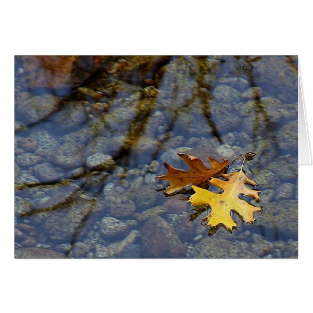 Feuilles d'automne dans la pluie Carte de note (Devant horizontal)
