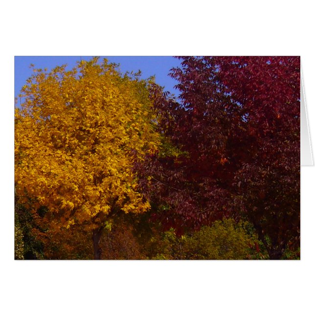 Feuilles d'automne de la carte jaune et violet (Devant Horizontal)