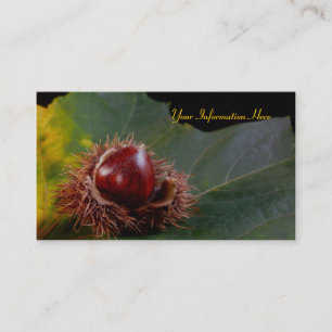 Feuilles d'automne et Cartes de visite de noix