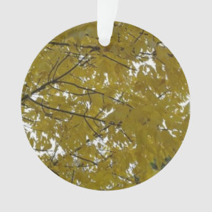 Feuilles d'automne jaunes