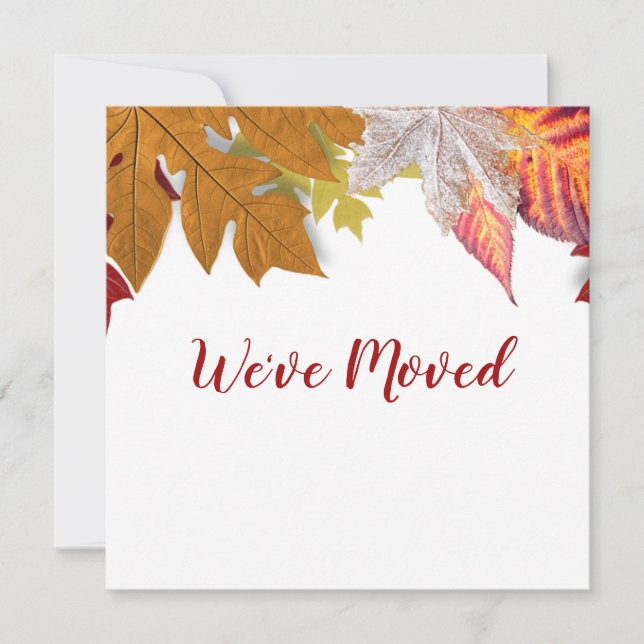 Feuilles d'automne Nous avons déplacé la carte de  (Devant)