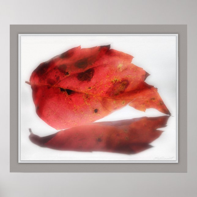 Feuilles d'automne reflétées Impression -24x20 -au (Devant)