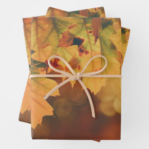 Feuilles d'automne rustiques enveloppant des feuil