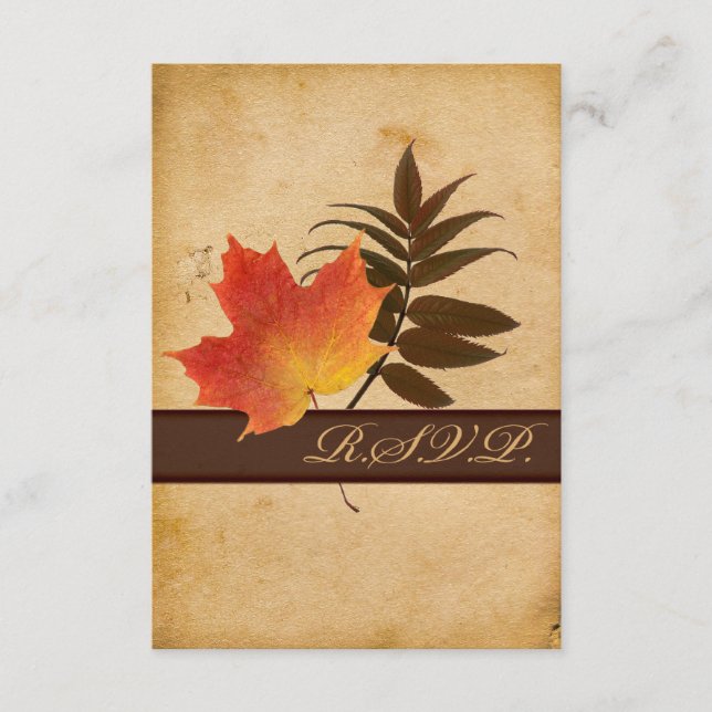 Feuilles d'automne sur papier vieilli - Carte répo (Devant)