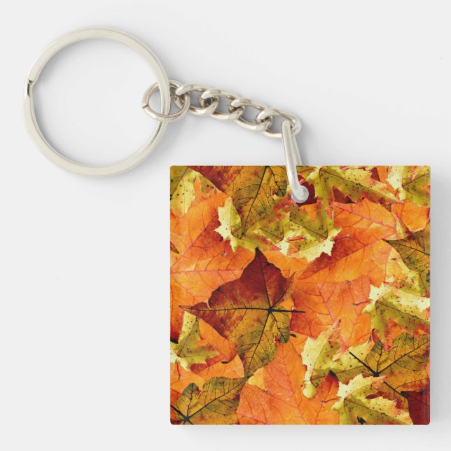 Feuilles d'automne tombées (Devant)