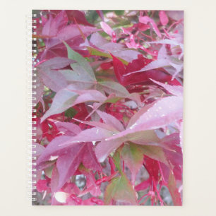 Feuilles De Chute Rose Et Sage