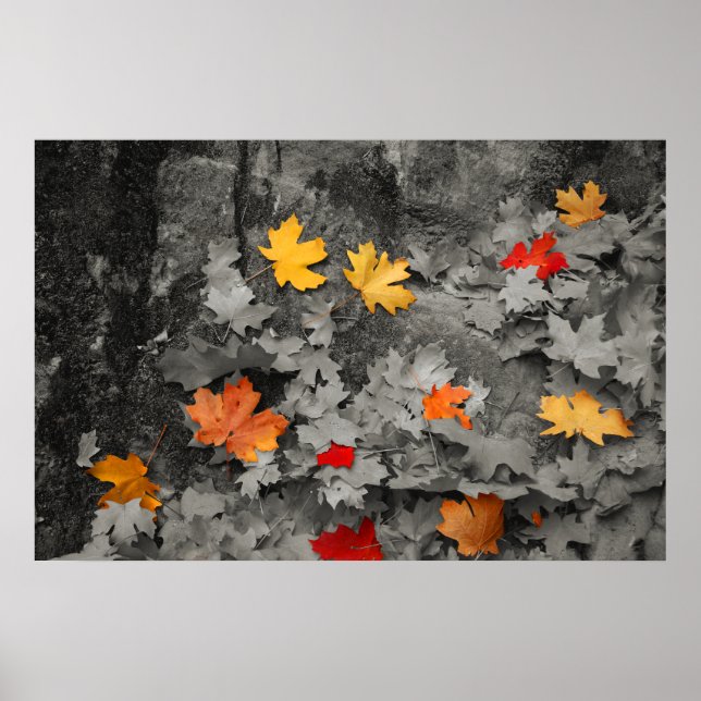 Feuilles de couleur dans une affiche du monde noir (Devant)