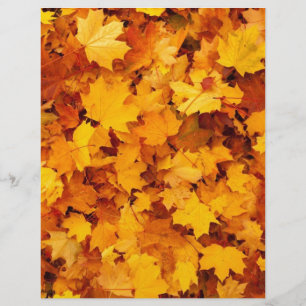 Feuilles de érable jaune d'automne