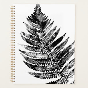 Feuilles de fougère noir et blanc