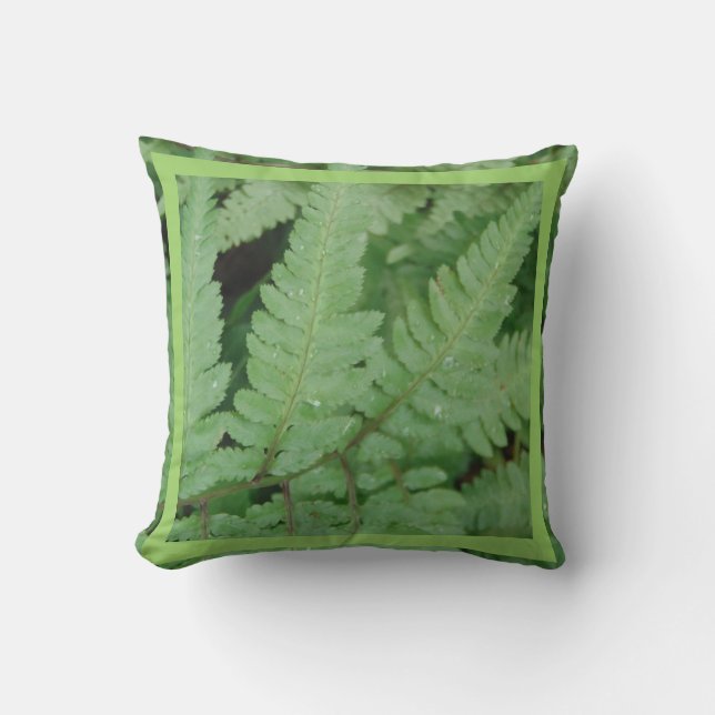 feuilles de fougère, oreiller presque entièrement  (Recto)