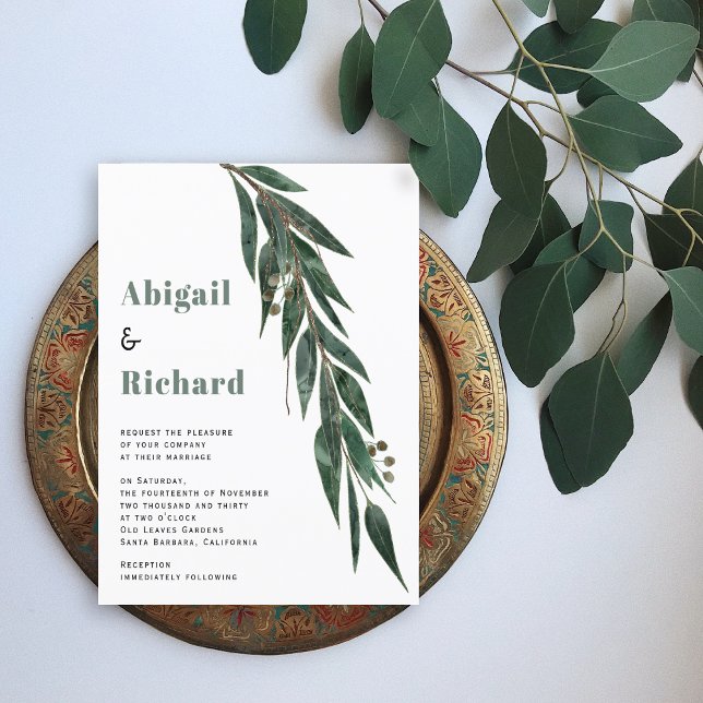 FEUILLES de la branche de l'eucalyptus BUDGET (Créateur téléchargé)