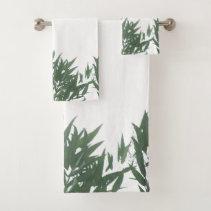 Feuilles de l'eucalyptus