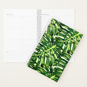 Feuilles de Monstera Tropical