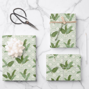 Feuilles de palmiers tropicaux