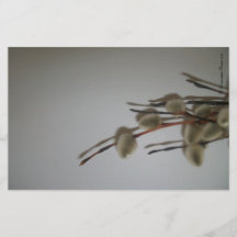 Feuilles de papeterie (PussyWillows) DDAPesigns ©️