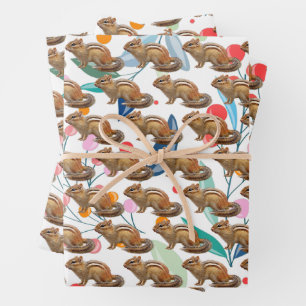 Feuilles de papier d'emballage amusant pour tamia