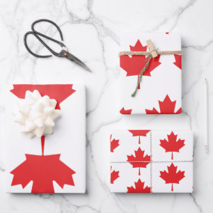 Feuilles de papier d'enveloppement de feuilles rou