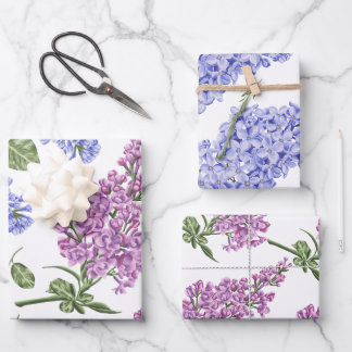 Feuilles de papier d'enveloppement Hyacinth