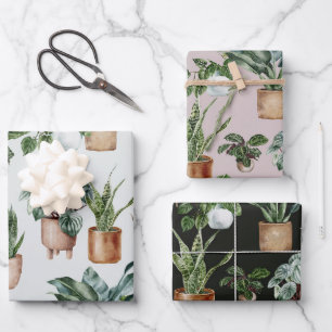 Feuilles de papier d'enveloppement Plantes