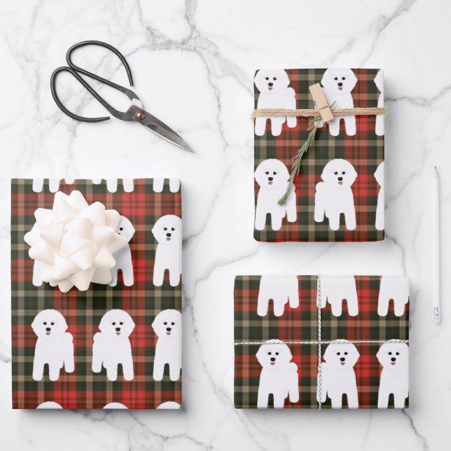 Feuilles de papier enveloppant Bichon Frise (Recto)