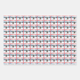 Feuilles de papier enveloppant de 19" x 29" de ber