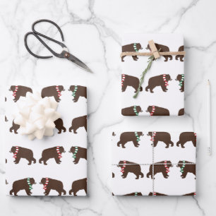 Feuilles de papier enveloppant les ours d'hiver