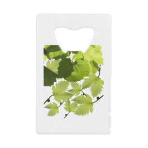 Feuilles de vigne verte