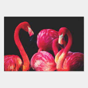 Feuilles d'enveloppes cadeau Flamant rose