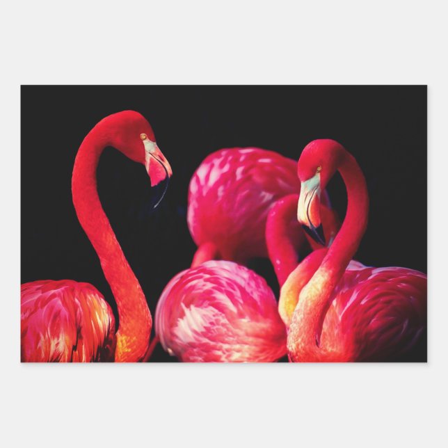 Feuilles d'enveloppes cadeau Flamant rose (Devant)