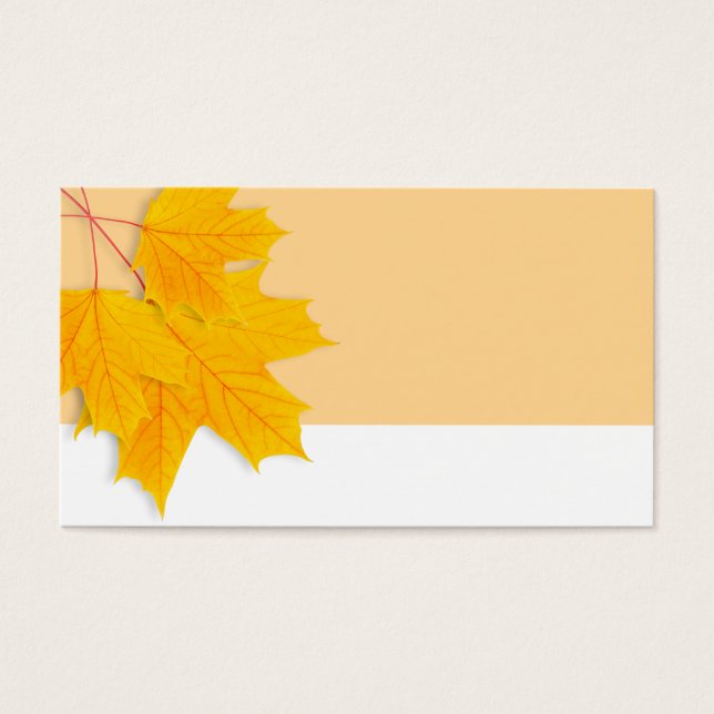 Feuilles d'érable jaune (Devant)