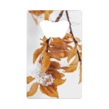 Feuilles d'orange en hiver