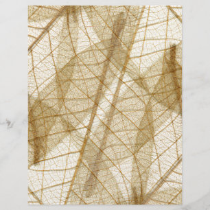 Feuilles en dentelle beige crème pâle