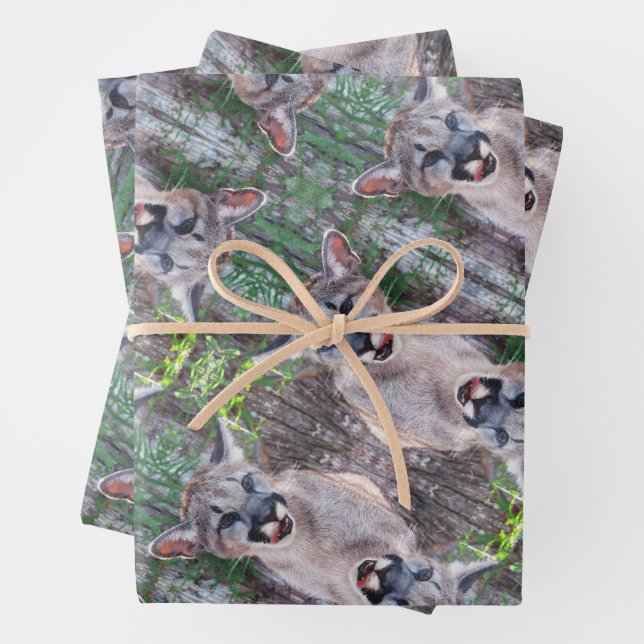 Feuilles en papier d'enveloppement de cougar Cub (En situation)