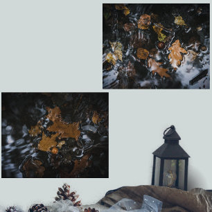 Feuilles et glands d'automne dans des eaux mystéri