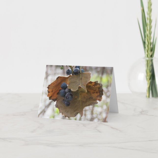 Feuilles et sacs bleus - Carte de voeux vierge (Devant)