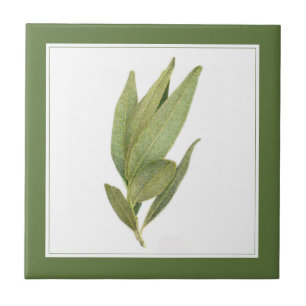 FEUILLES FRESH BAY 4.25" Carreaux de céramique (te