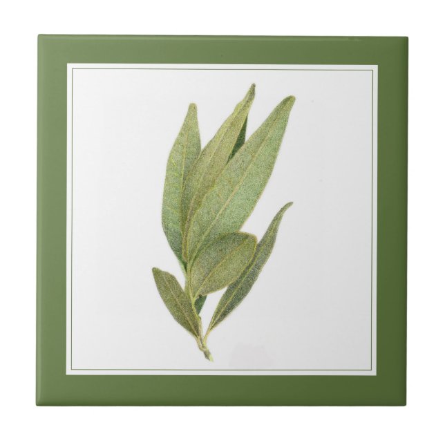 FEUILLES FRESH BAY 4.25" Carreaux de céramique (te (Devant)