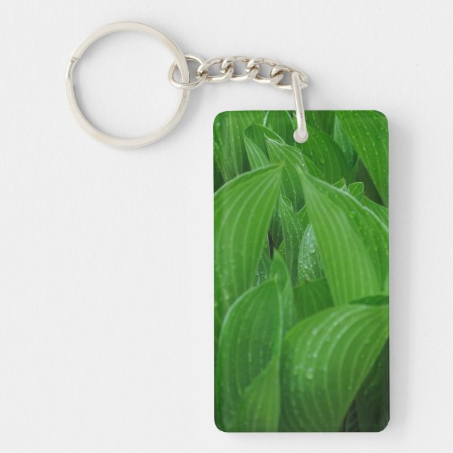 Feuilles Hosta avec Porte - clé acrylique Raindrop (Devant)