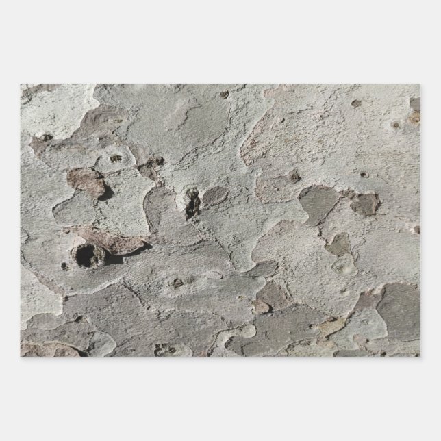 Feuilles papier d'emballage motif d'écorce d'arbre (Devant)