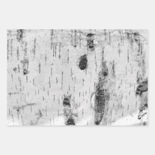 Feuilles papier d'emballage motif d'écorce de boul