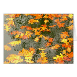 feuilles tombés sous la pluie