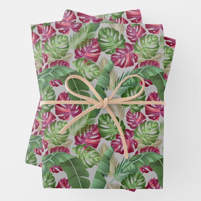 Feuilles tropicaux de Monstera et Palm (En situation)
